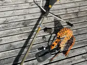 Annonsbild