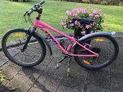 Annonsbild
