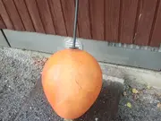 Annonsbild