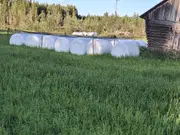 Annonsbild