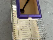 Annonsbild