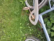 Annonsbild