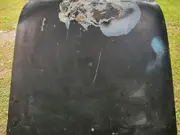 Annonsbild