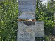 Annonsbild