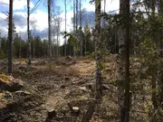 Annonsbild