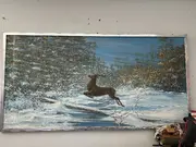 Annonsbild