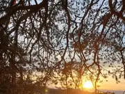 Annonsbild