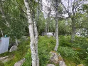 Annonsbild