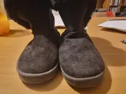 Annonsbild