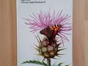 Annonsbild