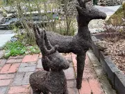 Annonsbild
