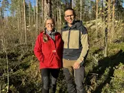 Annonsbild