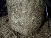Annonsbild