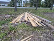 Annonsbild