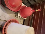 Annonsbild