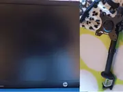 Annonsbild