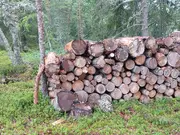 Annonsbild
