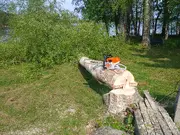Annonsbild