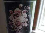 Annonsbild