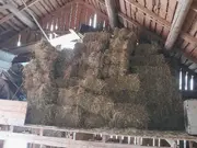 Annonsbild