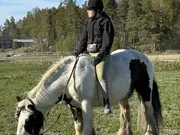 Annonsbild