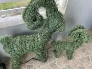 Annonsbild
