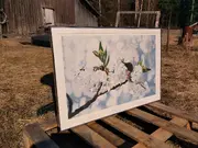 Annonsbild