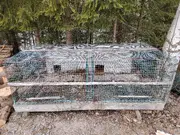 Annonsbild