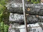 Annonsbild