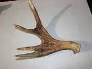 Annonsbild