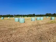 Annonsbild