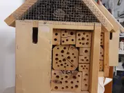 Annonsbild